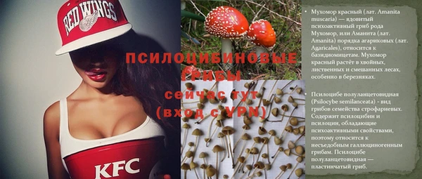 тгк Заводоуковск